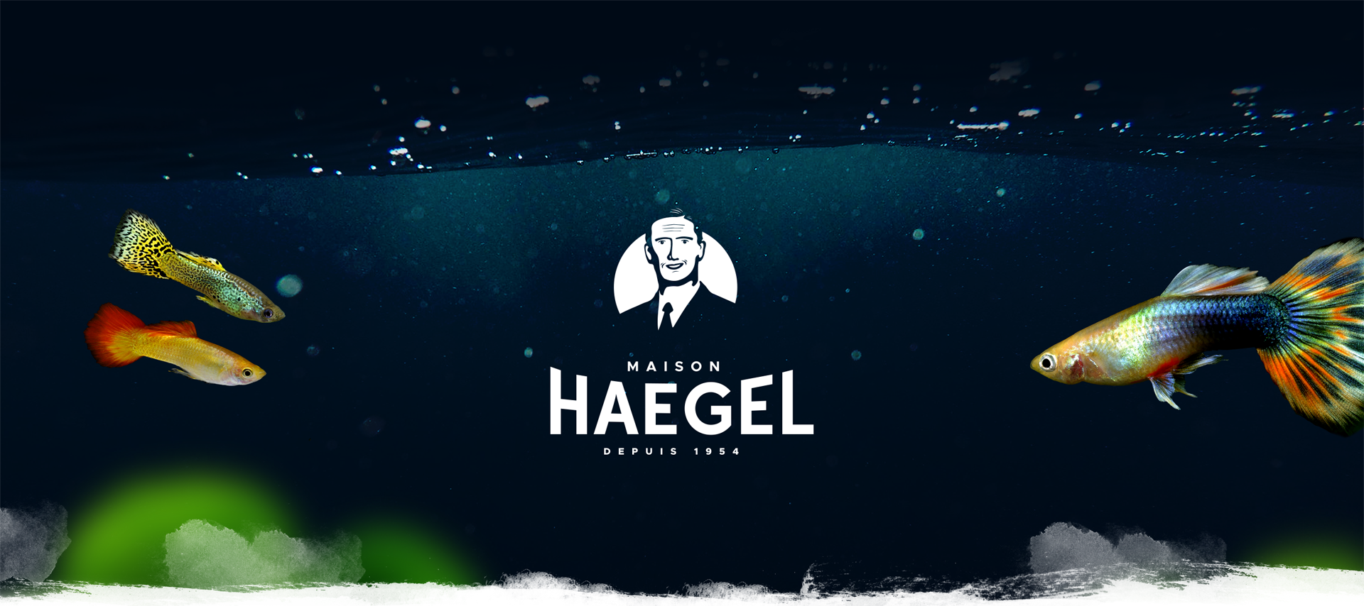 Maison Haegel